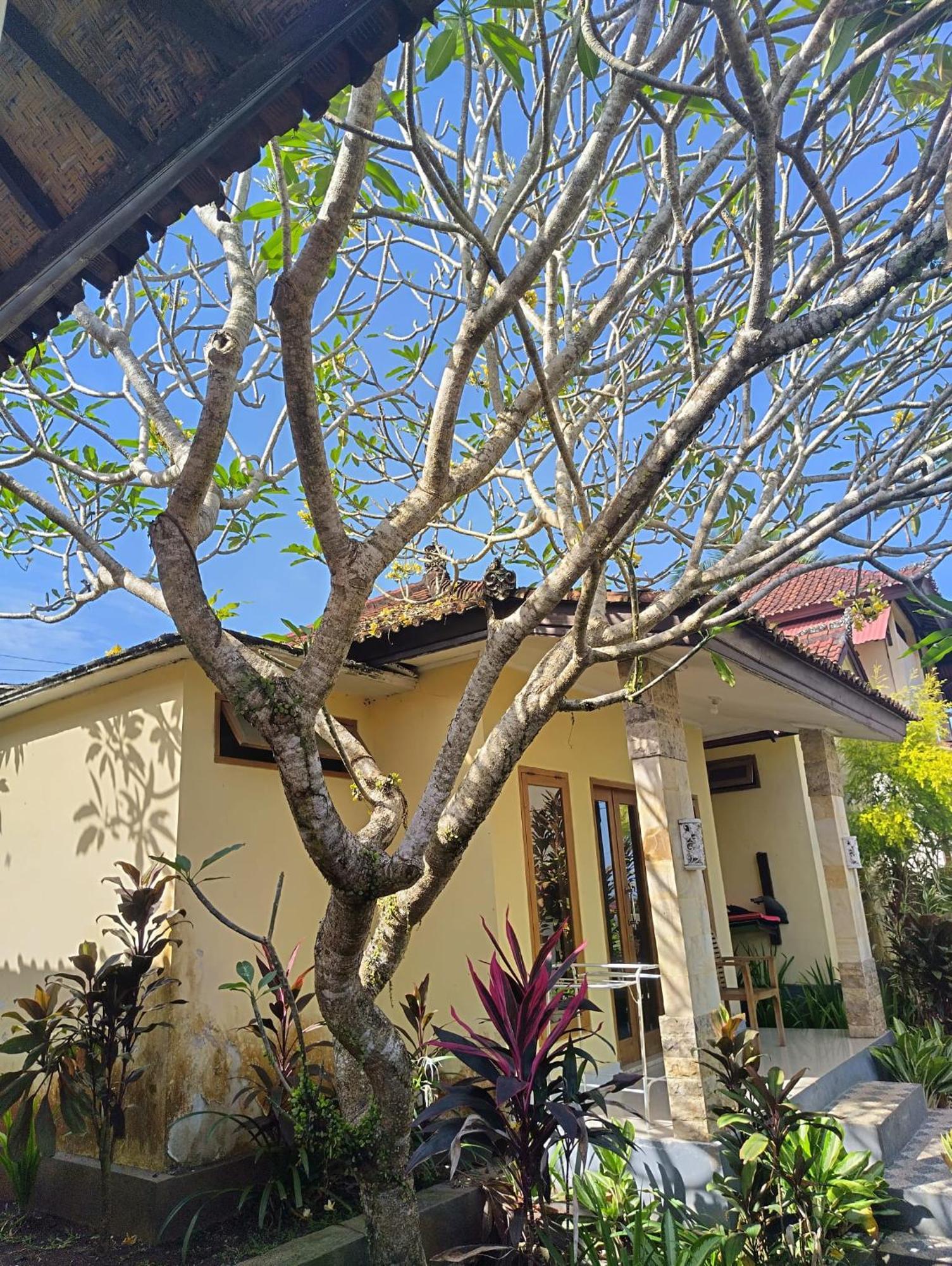 Kirra'S Beach House Pulukan Dış mekan fotoğraf